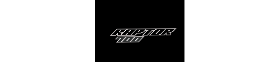 Kit Mantenimiento Yamaha Raptor 700