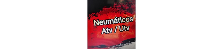NEUMATICOS ATV / UTV